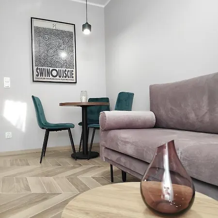 Matejki 17 - Insel シフィノウイシチェ