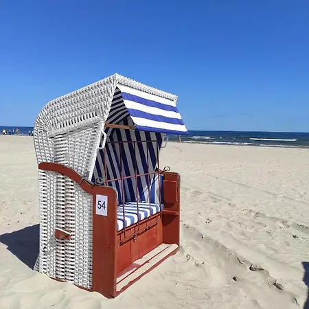 Matejki 17 - Insel *