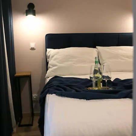 アパート Matejki 17 - Insel