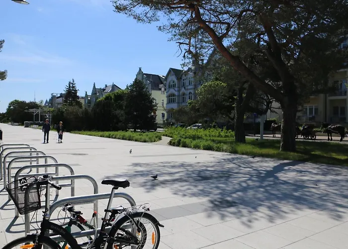 Matejki 17 - Insel アパート