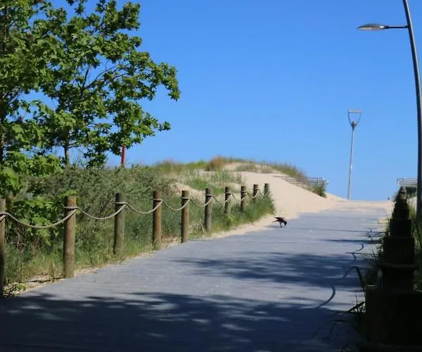 Matejki 17 - Insel アパート シフィノウイシチェ