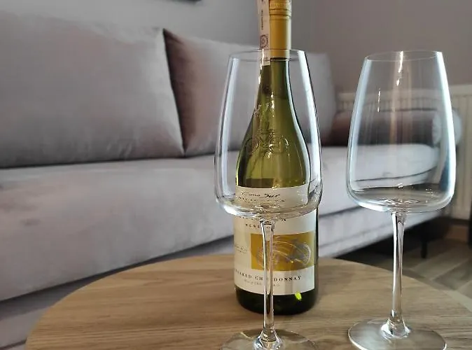 Matejki 17 - Insel シフィノウイシチェ